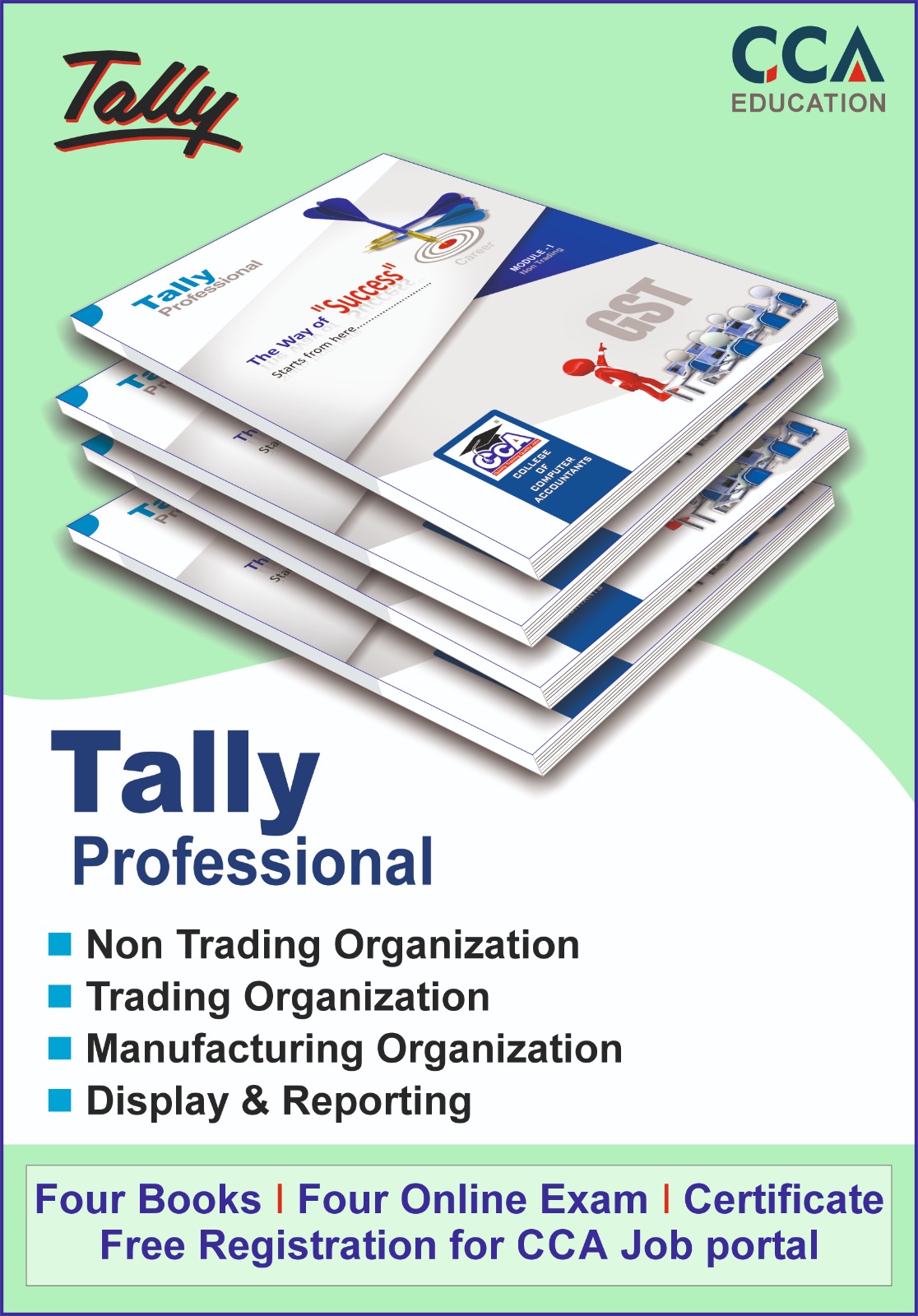 Tally Professional ERP9